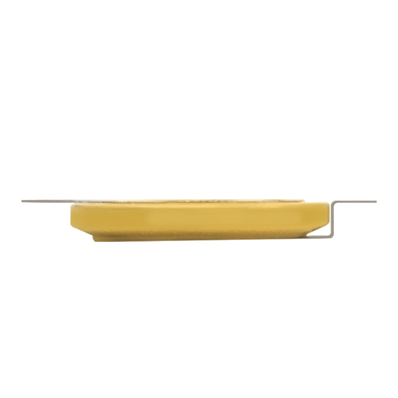 CR1616-LBY2-Coin Battery w/ Terminations